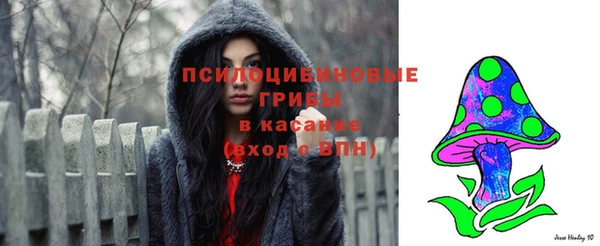 соль курить ск Новозыбков