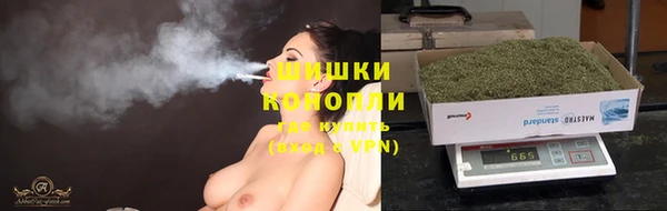трава Абаза