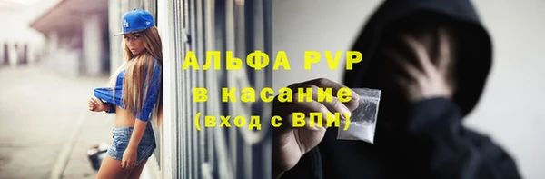 стафф Абинск