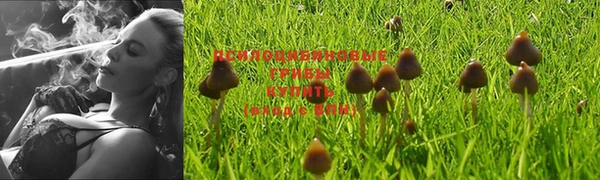 соль ск Нефтекумск