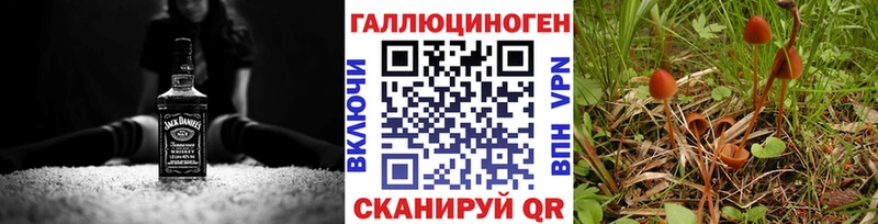 Псилоцибиновые грибы прущие грибы  kraken ССЫЛКА  Торжок 